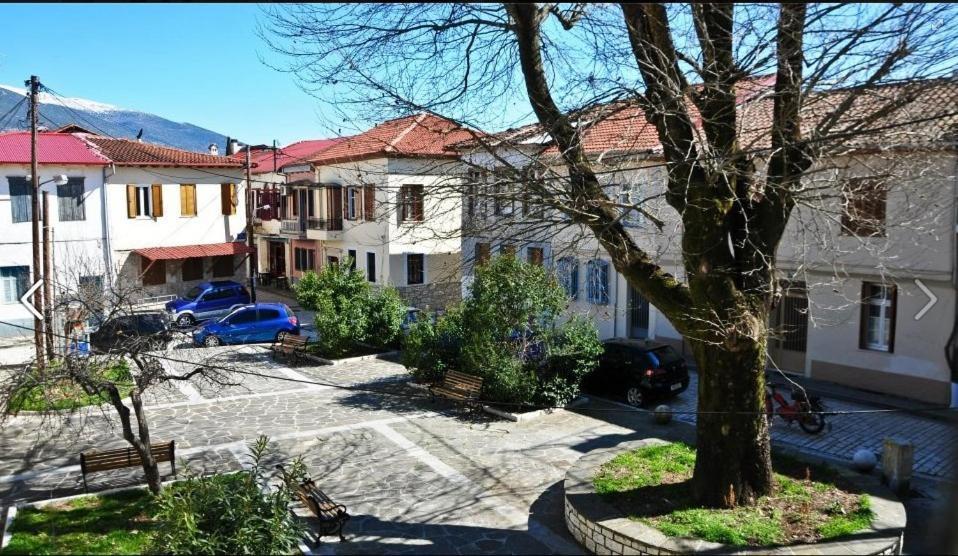 Hotel Platanos In The Castle Ioannina Exterior foto